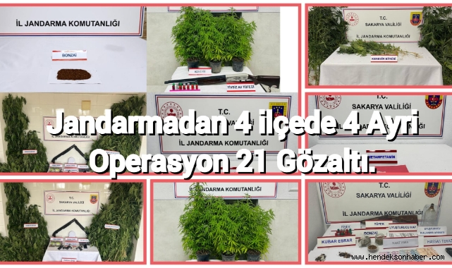 Jandarmadan 4 ilçede 4 ayrı operasyon: 21 gözaltı