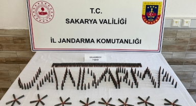 Sakarya Jandarmadan 4 İlçede Operasyon: 2 tutuklama