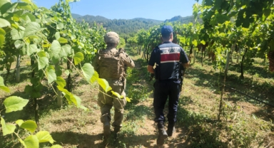 Sakarya Jandarma hırsızlara göz açtırmadı