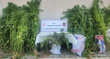 Sakarya Jandarmadan uyuşturucu ve kaçakçılık operasyonu: 14 tutuklama