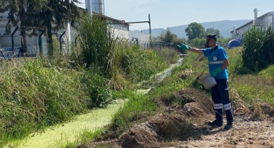 Büyükşehir’in müdahale timi her köşe başında haşereyle mücadelede