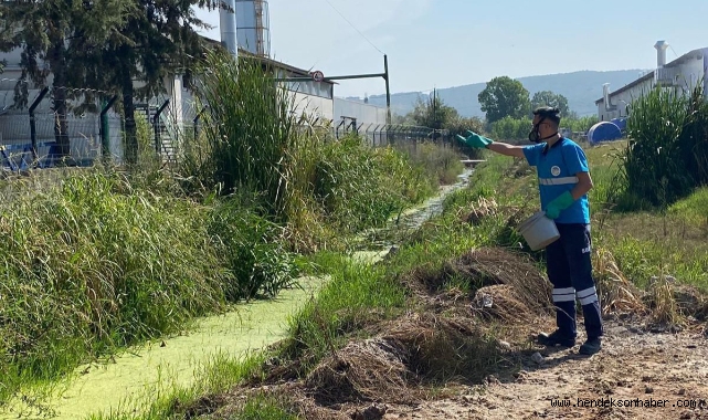 Büyükşehir’in müdahale timi her köşe başında haşereyle mücadelede