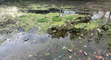 Hendek Belediyesi Çevremizi korumak hepimizin sorumluluğudur.