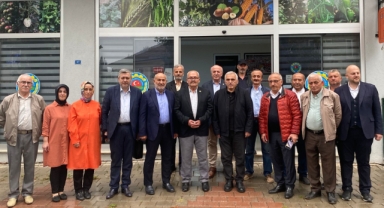 Hendek’te Gündem Kahverengi Kokarca