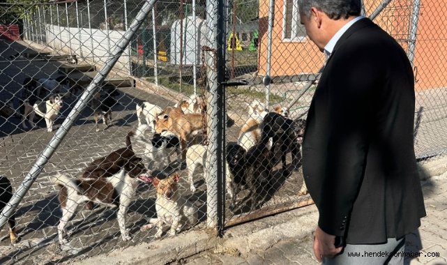Başkan Bayraktar'dan Sokak Hayvanları Barınağına Ziyaret