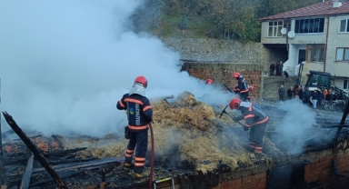 Hendek Kocatöngel Mahallesi'nde korkutan yangın 