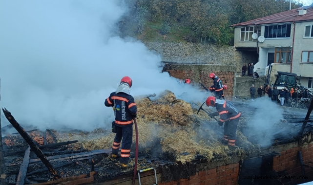 Hendek Kocatöngel Mahallesi'nde korkutan yangın 