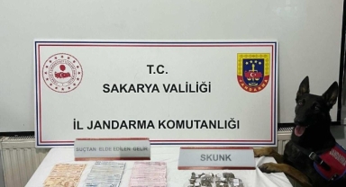 Hendek'te Jandarmadan operasyon