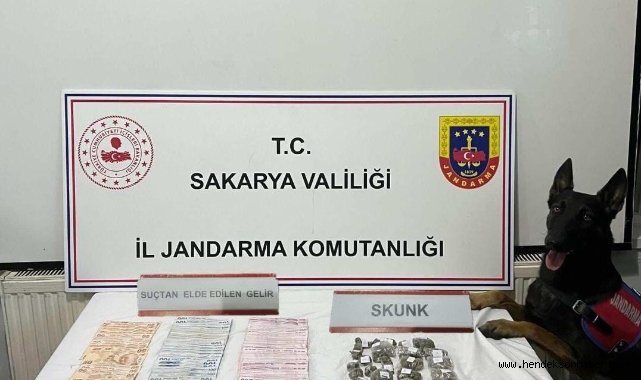 Hendek'te Jandarmadan operasyon