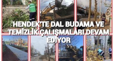 HENDEK’TE DAL BUDAMA VE TEMİZLİK ÇALIŞMALARI DEVAM EDİYOR