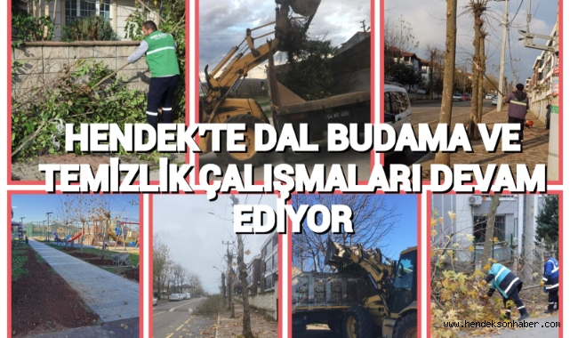 HENDEK’TE DAL BUDAMA VE TEMİZLİK ÇALIŞMALARI DEVAM EDİYOR