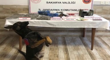 Hendek'te uyuşturucuya geçit yok