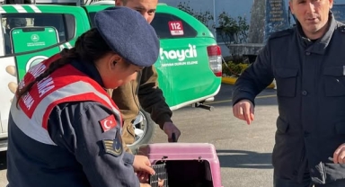 Kaçak avcılara ceza yağdı