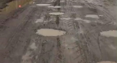 Hendek'te  Hem Video Çekti Hem Tepki Gösterdi