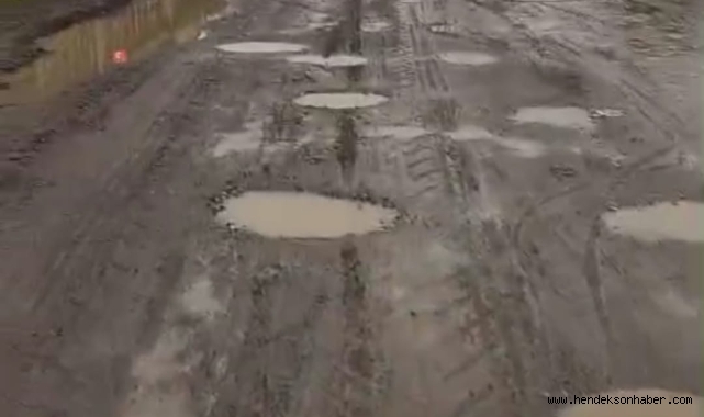 Hendek'te  Hem Video Çekti Hem Tepki Gösterdi