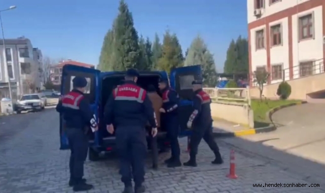 Büyükbaş Hayvan hırsızları Jandarmanın operasyonuyla  yakalandı