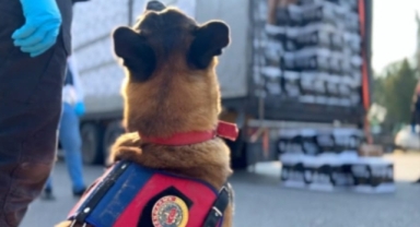 Sahte kargo aracıyla kaçakçılık! Hendek’te son buldu