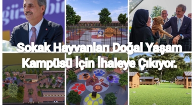 Sokak Hayvanları Doğal Yaşam Kampüsü için ihaleye çıkılıyor