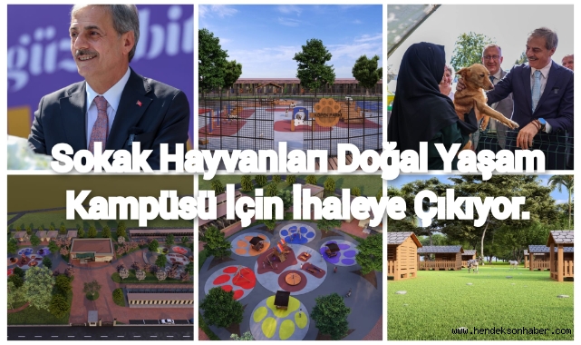 Sokak Hayvanları Doğal Yaşam Kampüsü için ihaleye çıkılıyor
