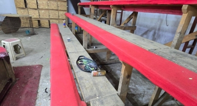 Ring kurdular horoz dövüştürdüler, jandarmadan kaçamadılar!