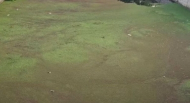 Başkan Yunus Emre Uzun Bu görüntü ve koku ilçeye yakışmıyor