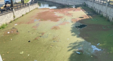 BEYLER AÇIN GÖZLERİNİZİ HENDEK ULUDERE ÇAYI CAN ÇEKİŞİYOR ?