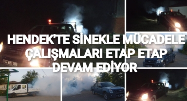 HENDEK’TE SİNEKLE MÜCADELE ÇALIŞMALARI ETAP ETAP DEVAM EDİYOR