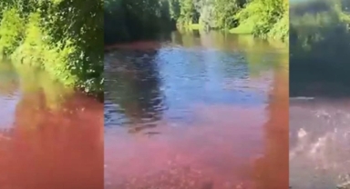 Akyazı Mudurnu Deresi'nde Şoke Eden Görüntü: Vatandaş Tedirgin!