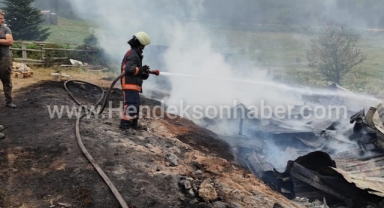 Akyazı Turnalı Yaylası'nda Yangın: Üç Ev Kül Oldu