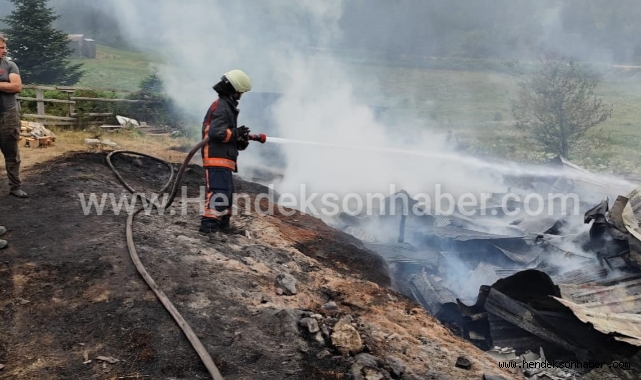 Akyazı Turnalı Yaylası'nda Yangın: Üç Ev Kül Oldu