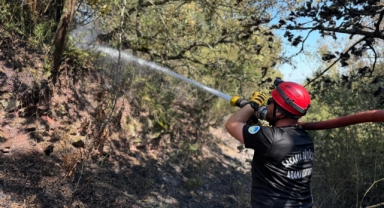 Büyükşehir açıkladı Orman yangını kontrol altına alındı