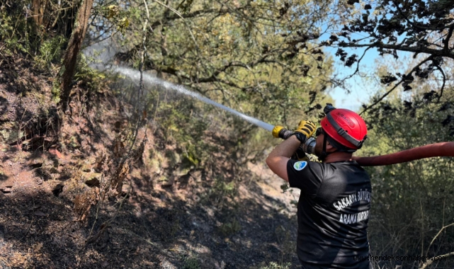 Büyükşehir açıkladı Orman yangını kontrol altına alındı