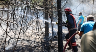 Büyükşehir İtfaiyesi yangın bölgelerinde tüm gücüyle müdahalede