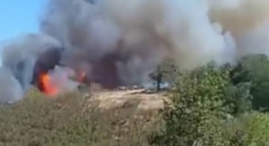 Ciğerlerimiz Yanıyor!