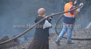 Hendek Güldibi'ndeki Orman Yangını Kontrol Altında