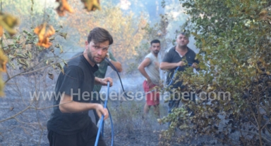 Hendek Güldibi Yangınının Nedeni Belli Oldu