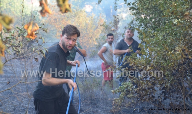 Hendek Güldibi Yangınının Nedeni Belli Oldu