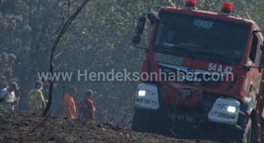 Hendek Hacımbey'de Başlayan Orman Yangını Kontrol Altında!