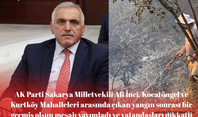 Hendek'te Orman Yangını: Vekil İnci'den Geçmiş Olsun Mesajı 