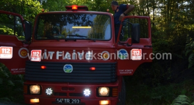 Hendek Yeşilköy Merasında Çıkan Yangın Korkuttu!