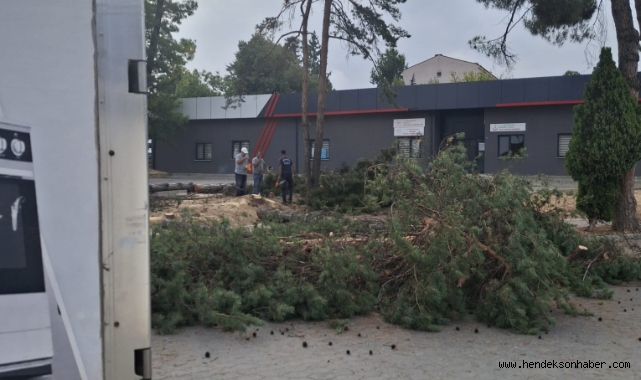 Bayraktar ağaçları kesmeye;Kim, hangi akılla karar verdi merak ediyoruz.