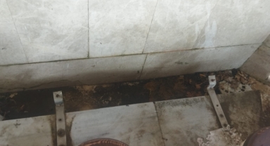 Hendek Büyük Cami Şadırvanı Tepki Çekti: Vatandaşlardan 