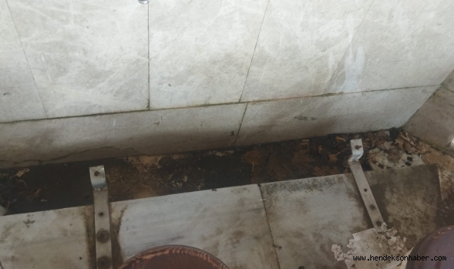 Hendek Büyük Cami Şadırvanı Tepki Çekti: Vatandaşlardan "Bu Hal Ne?" Sorusu