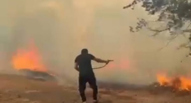 Hendek'te Orman Yangını ​Hızlı Müdahale Felaketi Önledi