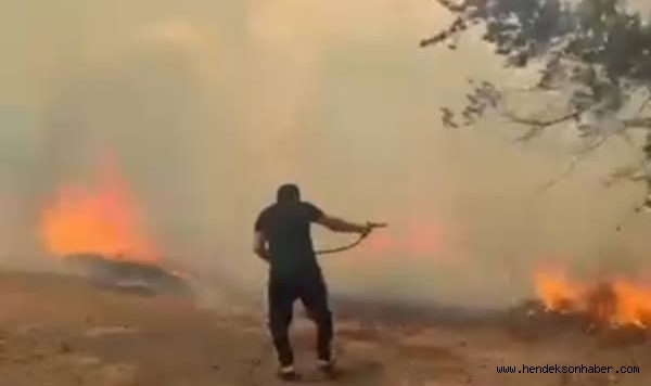 Hendek'te Orman Yangını ​Hızlı Müdahale Felaketi Önledi