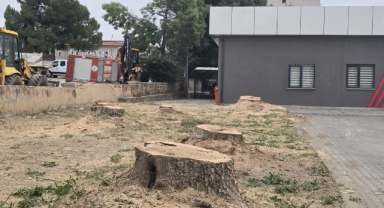Hendek'te tepki çeken olay: Sağlık ocağı önündeki ağaçlar kesildi!
