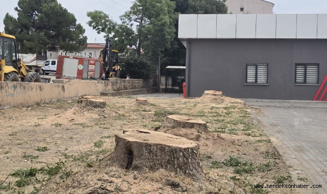 Hendek'te tepki çeken olay: Sağlık ocağı önündeki ağaçlar kesildi!