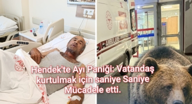 Hendek'te Ayı Paniği: Vatandaş Kurtulmak İçin Saniye Saniye Mücadele Etti