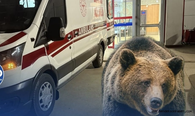  Hendek'te Fındık Bahçesinde Tüyler Ürperten Anlar