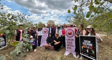 ​Sakarya Tarım İl Müdürü Asım Baş, Kazımiye'de Çiftçilerle Buluştu